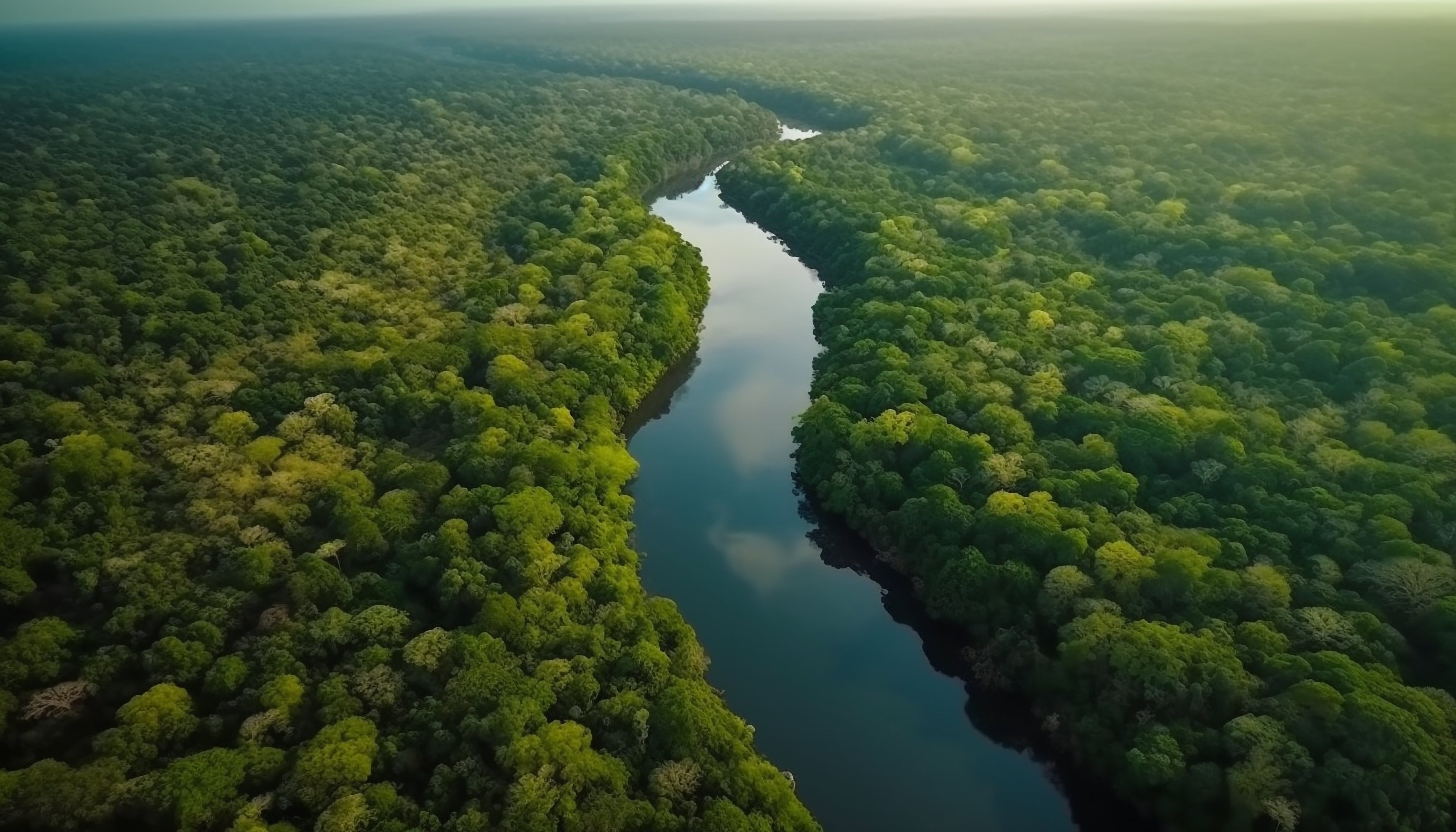 Néctar Amazonico